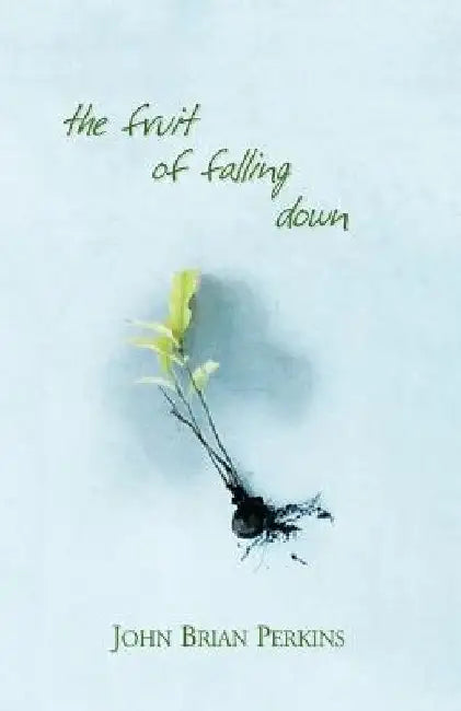 The Fruit of Falling Down by John Brian Perkins