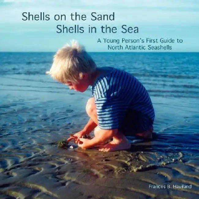 Shells on the Sand, Shells in the Sea by Frances Haviland