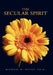 The Secular Spirit by Michael Ducey