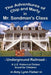 The Adventures of Chip and Marty in Mr. Sandman's Class: Underground Railroad by Amy Lynn Fisher