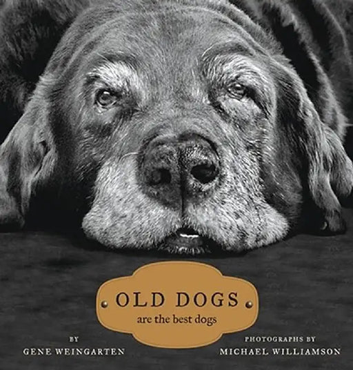 Old Dogs: Are the Best Dogs by Michael S. Williamson