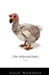 The Hollywood Dodo by Geoff Nicholson
