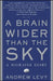 A Brain Wider Than the Sky: A Migraine Diary by Andrew Levy