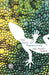 The Book of Chameleons by Jose Eduardo Agualusa