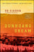 Dunhuang Dream by Xu Xiaobin