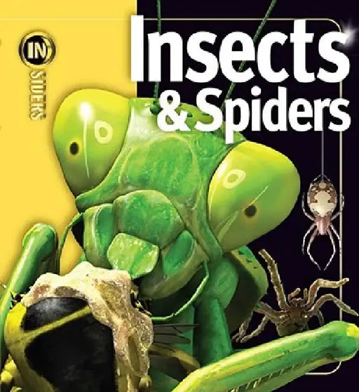 Insects & Spiders by Noel Tait