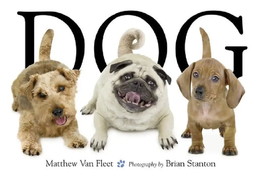 Dog by Matthew Van Fleet