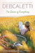 The Queen of Everything by Deb Caletti
