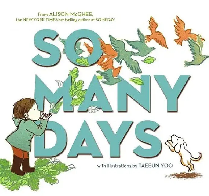 So Many Days by Alison McGhee