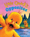 Little Quack's Opposites by Lauren Thompson