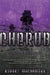 Maximum Security by Robert Muchamore