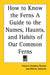 How to Know the Ferns A Guide to the Names, Haunts, and Habits of Our Common Ferns by Frances Theodora Parsons, Marion Satterlee