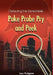 Poke Probe Pry and Peek: Detecting the Detectable by Lou Fulgaro