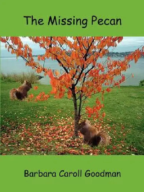 The Missing Pecan by Barbara Caroll Goodman