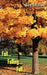 Fall...Falling...Fell... by Sam Navarino
