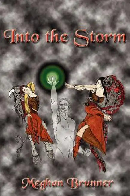 Into the Storm by Meghan Brunner