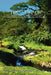"YOU" Live On!: *A Handbook for Enjoying and Mastering Self Happiness by Jr. Crumpler King David