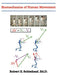 Biomechanics of Human Movement by Robert E. Schleihauf