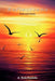 Reflections: Selected Poems by A. Dale Franklin
