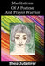 Meditations Of A Poetess And Prayer Warrior by Shea Jubelirer