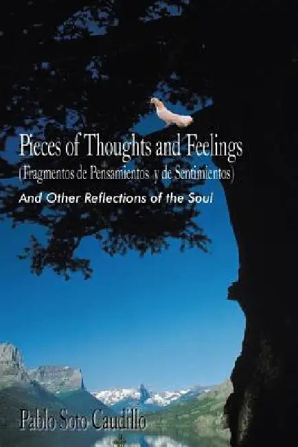 Pieces of Thoughts and Feelings (Fragmentos de Pensamientos y de Sentimientos): And Other Reflections of the Soul by Pablo Soto Caudillo
