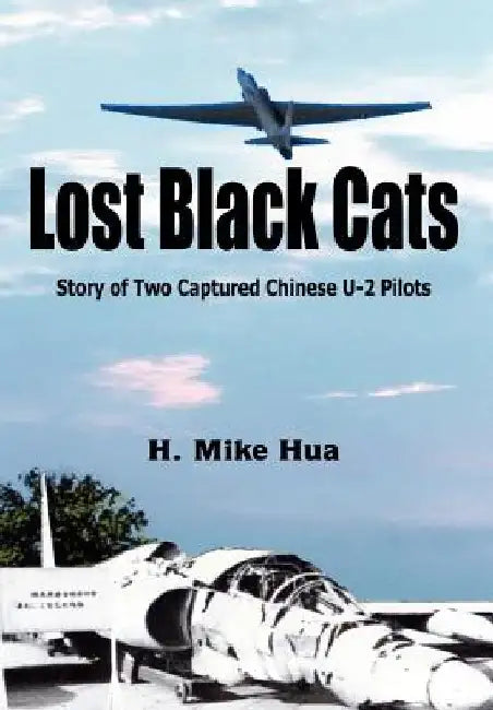 Lost Black Cats by H. Mike Hua