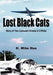 Lost Black Cats by H. Mike Hua
