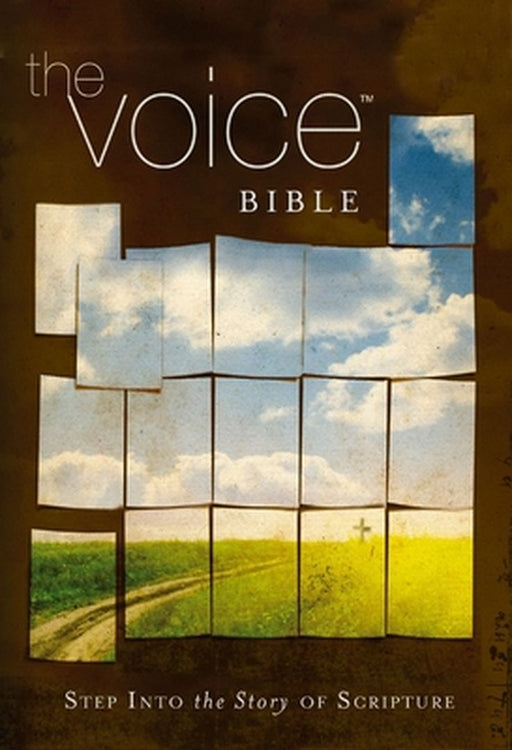 Voice Bible-VC: Step Into the Story of Scripture by Ecclesia Bible Society