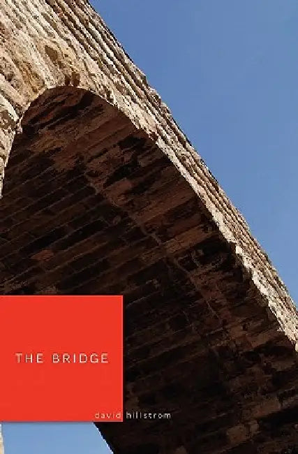 The Bridge by David Hillstrom