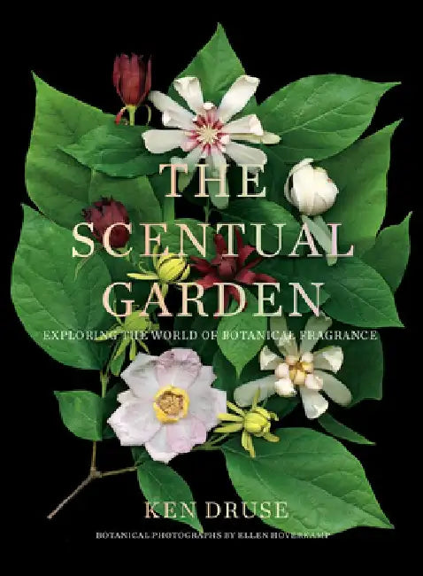 The Scentual Garden: Exploring the World of Botanical Fragrance by Kenneth Druse