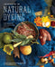 Journeys in Natural Dyeing: Techniques for Creating Color at Home by Kristine Vejar