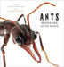 Ants: Workers of the World by Eleanor Spicer Rice