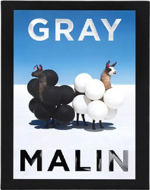 Gray Malin: The Essential Collection by Gray Malin