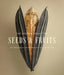 The Hidden Beauty of Seeds & Fruits: The Botanical Photography of Levon Biss by Levon Biss
