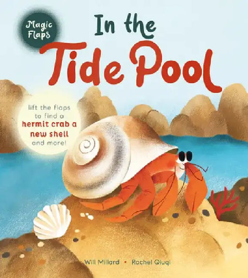 In the Tide Pool: A Magic Flaps Book by Will Millard