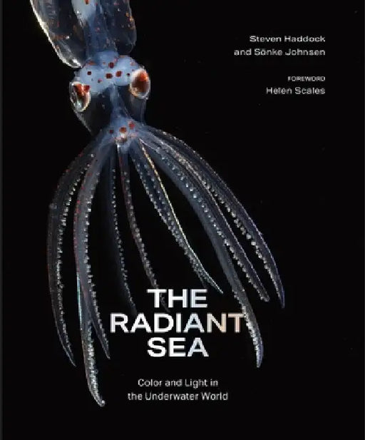 The Radiant Sea: Color and Light in the Underwater World by Haddock, Steven
