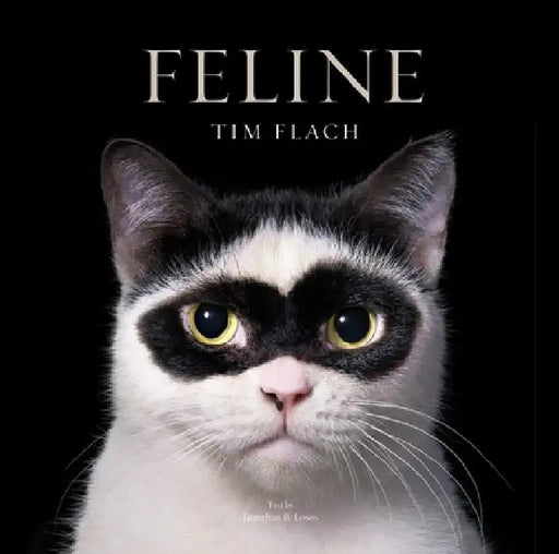 Feline: Photographs by Flach, Tim