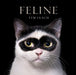 Feline: Photographs by Tim Flach, Jonathan Losos