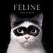 Feline: Photographs by Flach, Tim