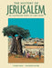 The History of Jerusalem: An Illustrated Story of 4,000 Years by Vincent Lemire