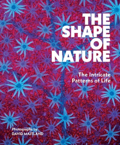 The Shape of Nature: The Intricate Patterns of Life by David Maitland