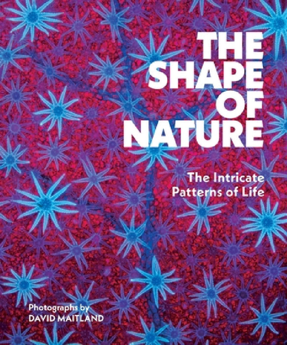 The Shape of Nature: The Intricate Patterns of Life by David Maitland