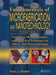 Solid-State Physics, Fluidics, and Analytical Techniques in Micro- And Nanotechnology by Marc J. Madou