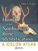 Human and Nonhuman Bone Identification: A Color Atlas by Diane L. France
