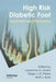 High Risk Diabetic Foot: Treatment and Prevention by Lawrence A. Lavery