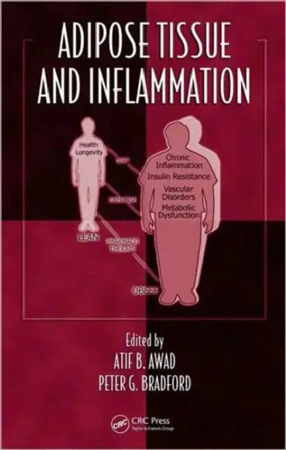 Adipose Tissue and Inflammation by Atif B. Awad, Peter G. Bradford