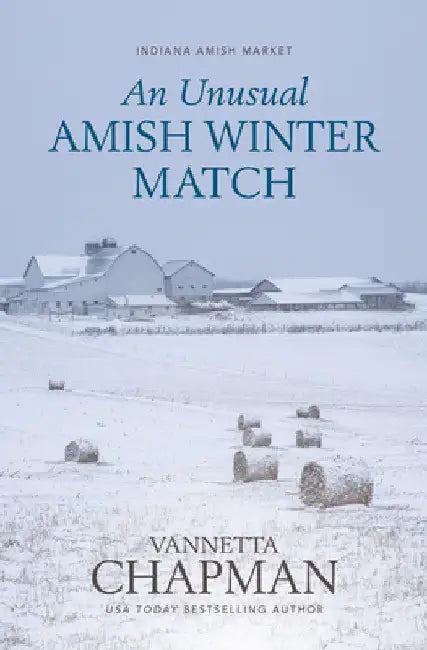 An Unusual Amish Winter Match by Vannetta Chapman