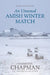 An Unusual Amish Winter Match by Vannetta Chapman