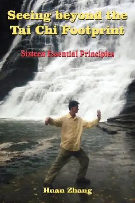 Seeing beyond the Tai Chi Footprint by Huan Zhang