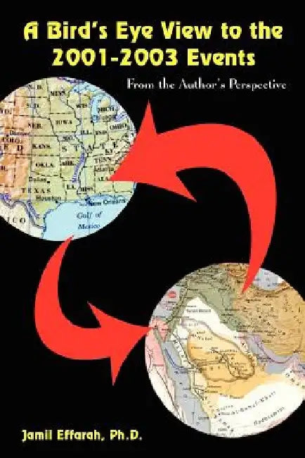 A Bird's Eye View to the 2001-2003 Events: From the Author's Perspective by Jamil Effarah